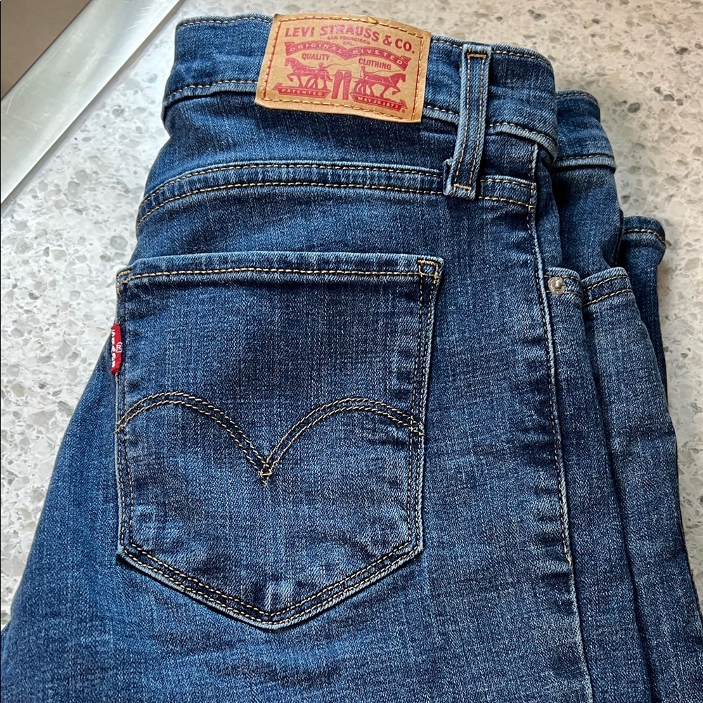 Levi's Indigo Denim Pants